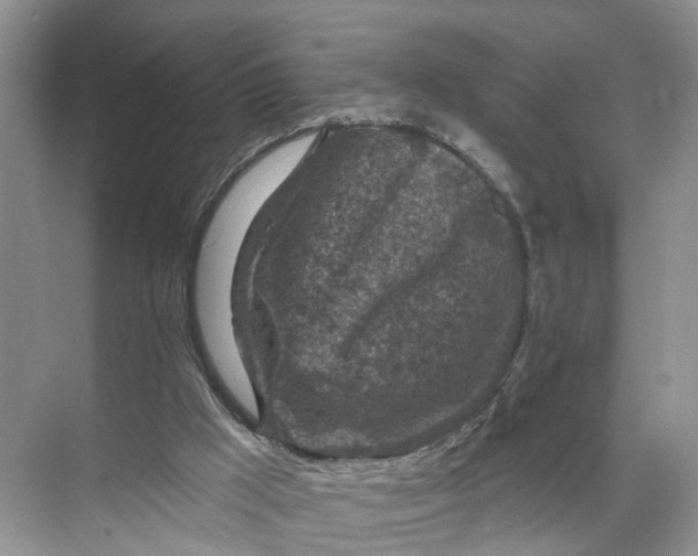 X0000071800009200607150158