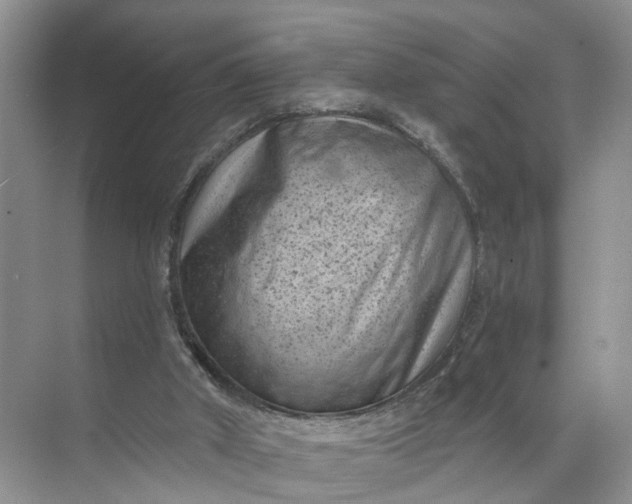 X0000071800010200607150158