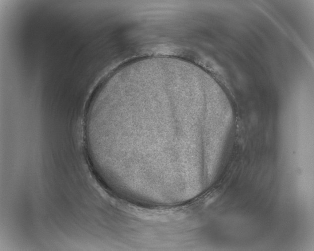 X0000071800012200607150158