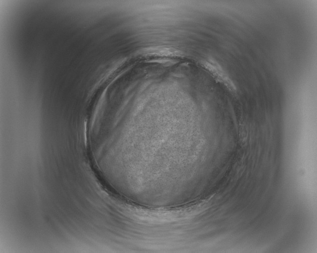 X0000071800014200607150158