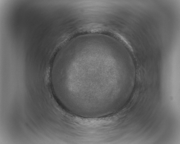 X0000071800018200607150158