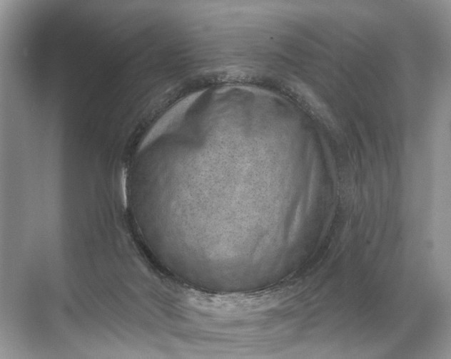 X0000071800022200607150158