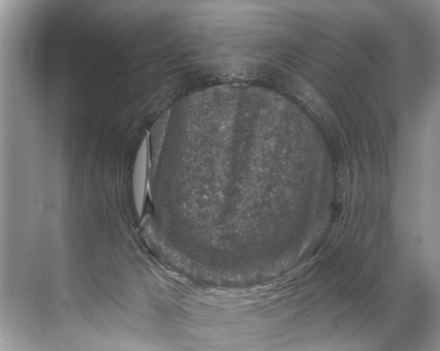 X0000071800029200607150158