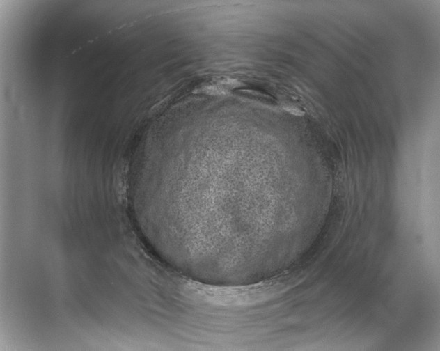 X0000071800030200607150158