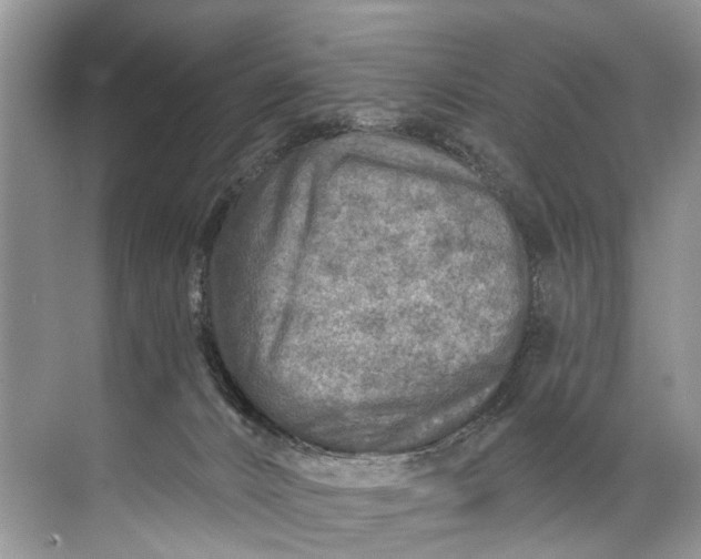 X0000071800032200607150158