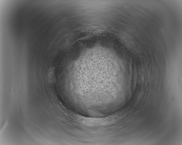 X0000071800034200607150158