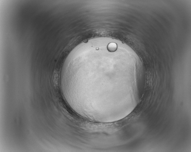 X0000071800036200607150158