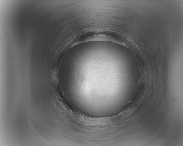 X0000071800044200607150158