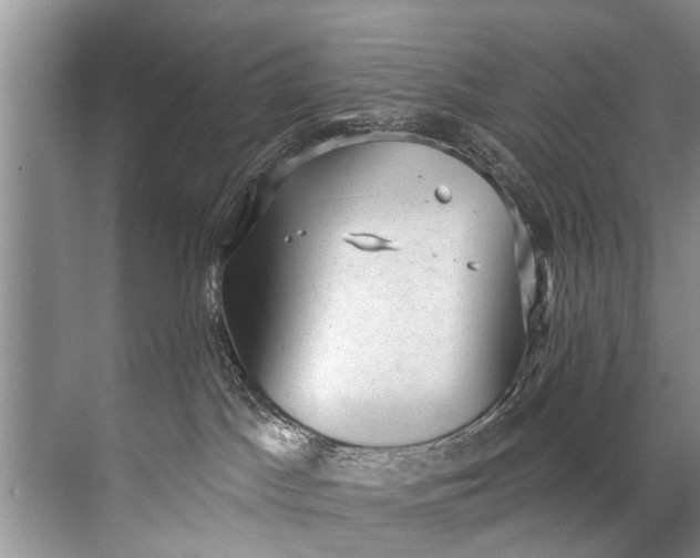 X0000071800045200607150158