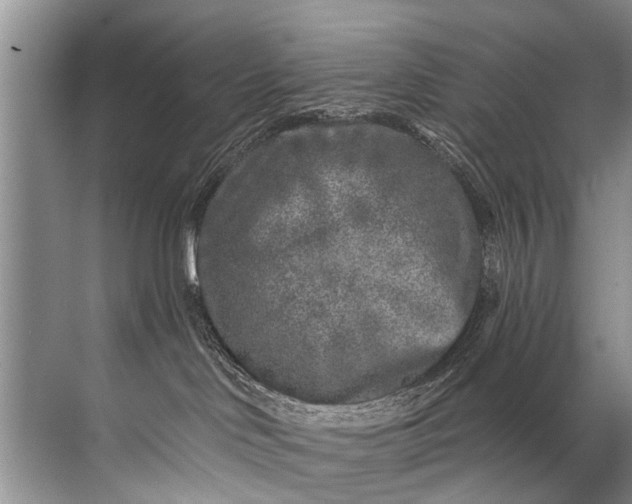 X0000071800046200607150158