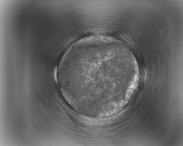 X0000071800047200607150158