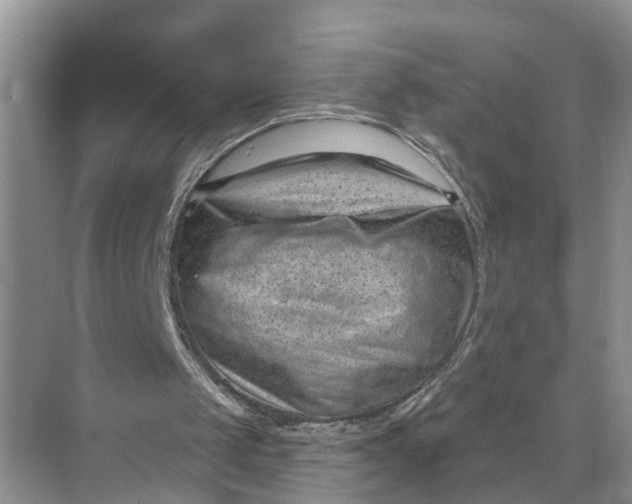 X0000071800049200607150157