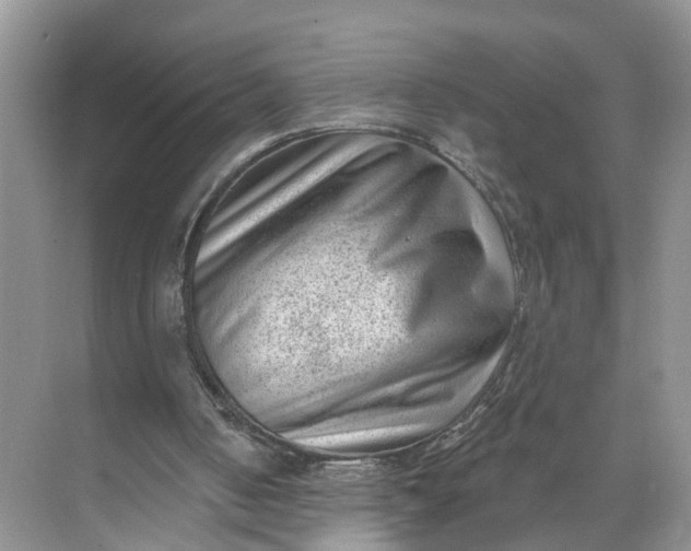 X0000071800050200607150157