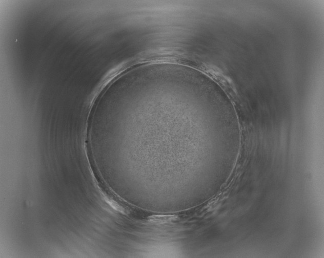 X0000071800051200607150157