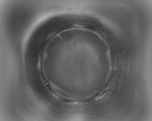 X0000071800052200607150157