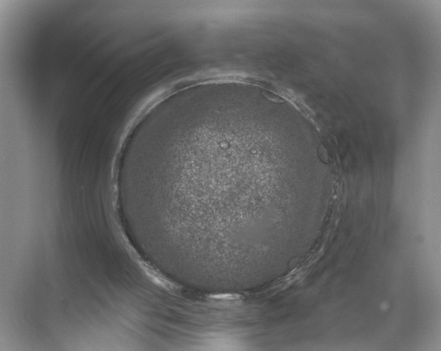 X0000071800053200607150157