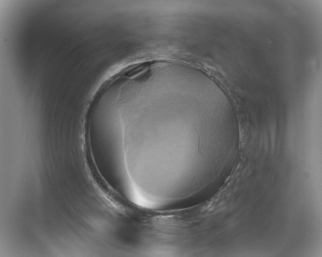 X0000071800054200607150157