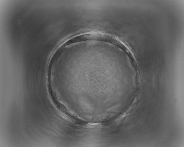 X0000071800055200607150157