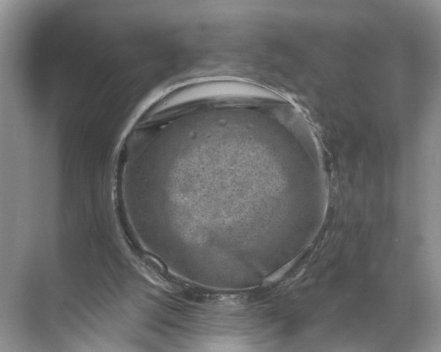 X0000071800056200607150157