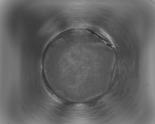 X0000071800059200607150157