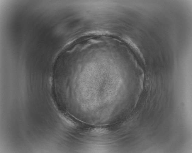 X0000071800063200607150157