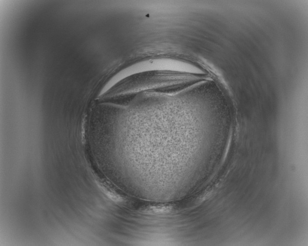 X0000071800065200607150157