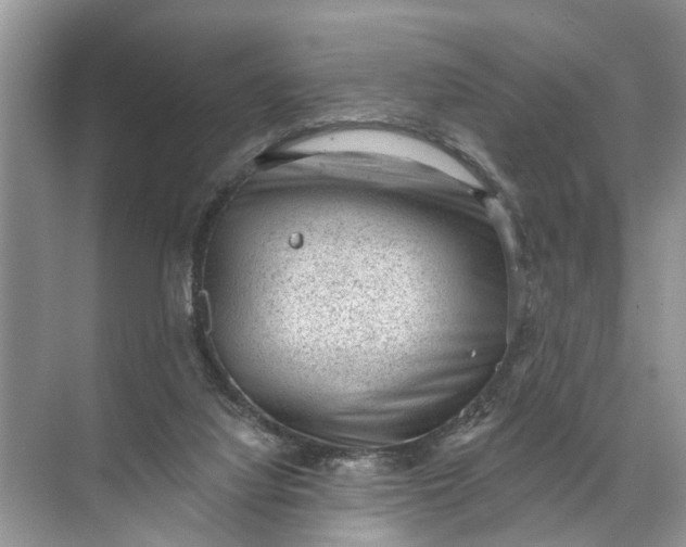 X0000071800068200607150157