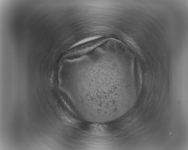 X0000071800073200607150157