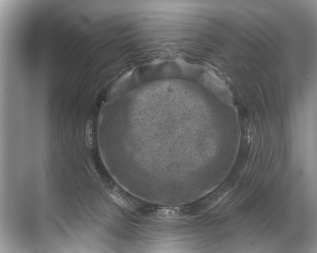 X0000071800080200607150157