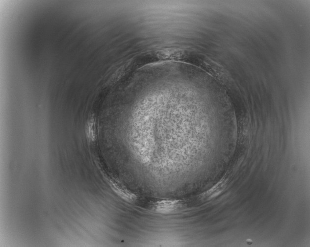 X0000071800090200607150158