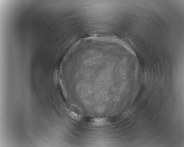 X0000071800093200607150158