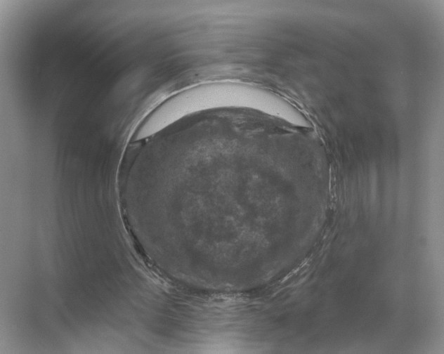 X0000071800099200607150157