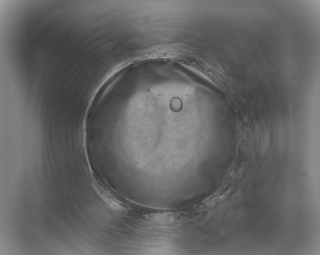 X0000071800100200607150157