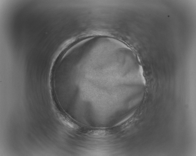 X0000071800104200607150157