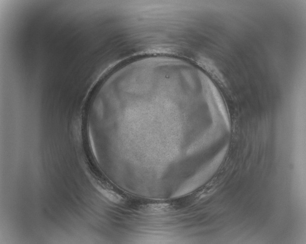 X0000071800108200607150157