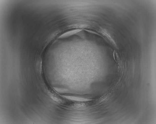 X0000071800110200607150157