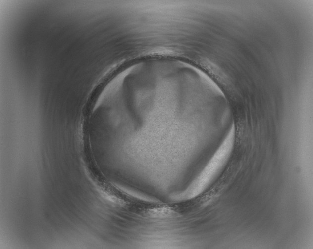 X0000071800112200607150157