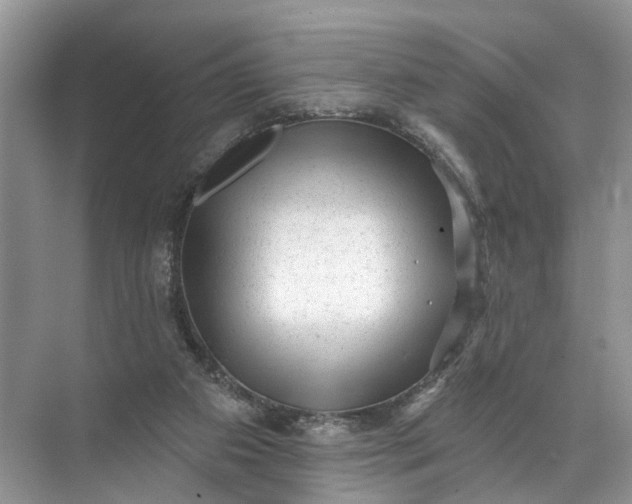 X0000071800113200607150157