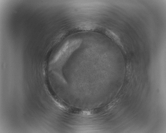 X0000071800114200607150157