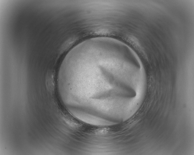 X0000071800116200607150157