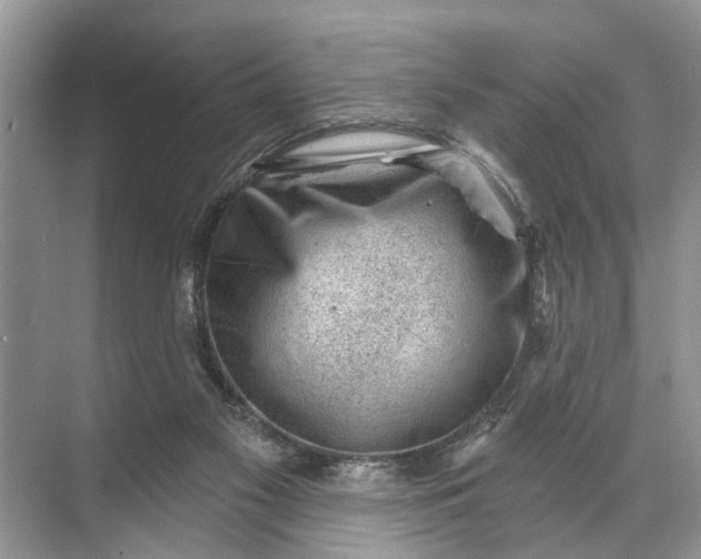 X0000071800117200607150157