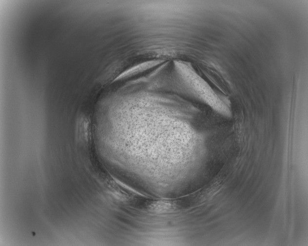 X0000071800123200607150156