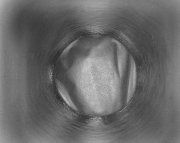 X0000071800124200607150156