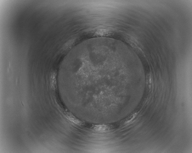 X0000071800127200607150156