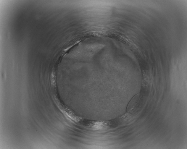 X0000071800130200607150156