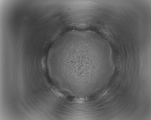 X0000071800131200607150156