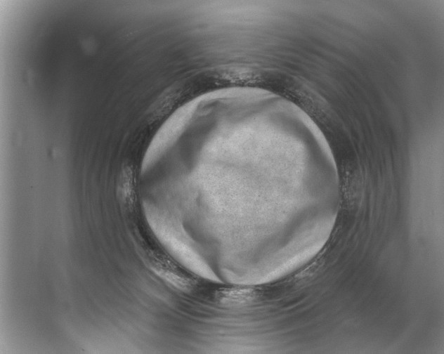 X0000071800132200607150156