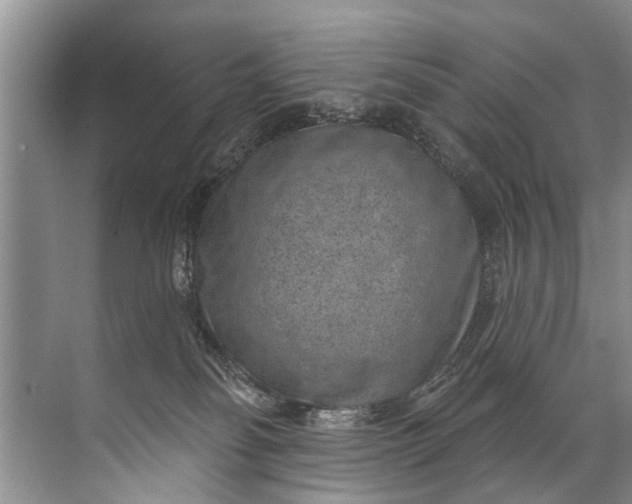 X0000071800134200607150156