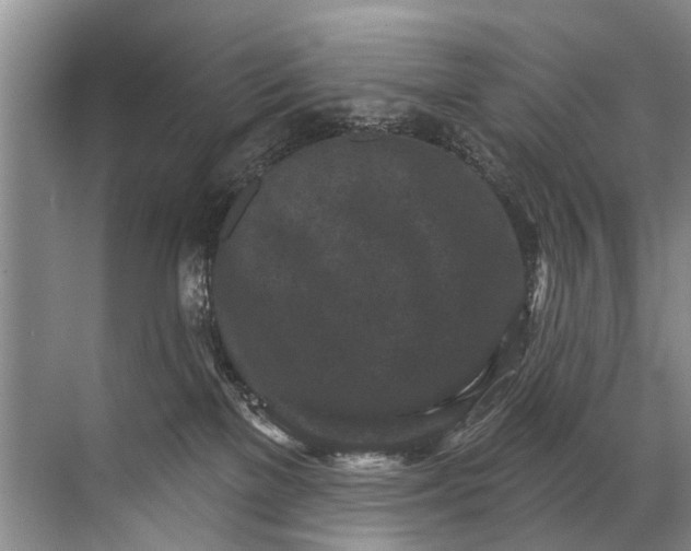 X0000071800137200607150156