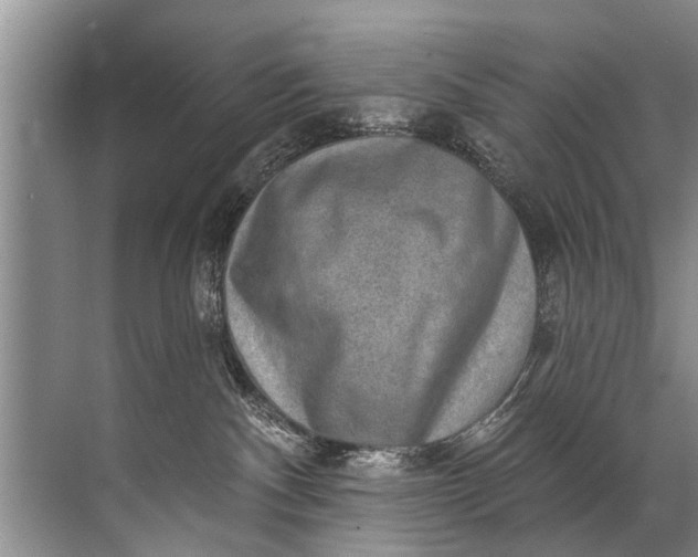 X0000071800140200607150156